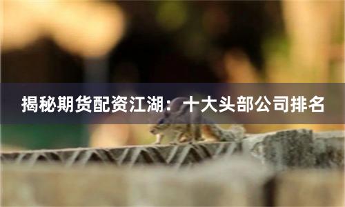 揭秘期货配资江湖：十大头部公司排名