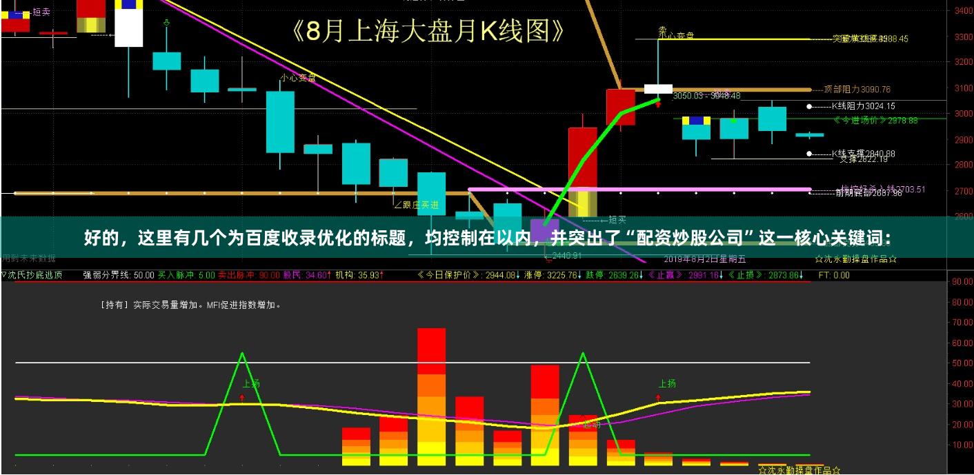 好的，这里有几个为百度收录优化的标题，均控制在以内，并突出了“配资炒股公司”这一核心关键词：