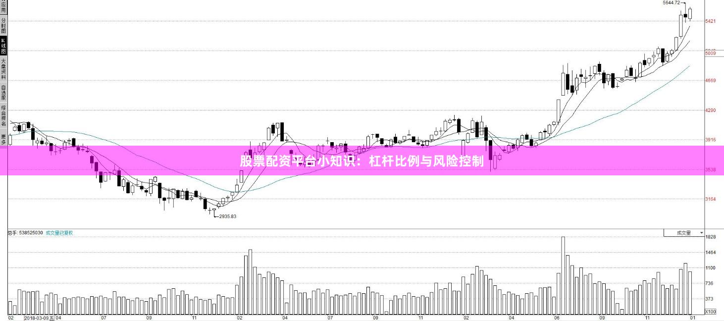 股票配资平台小知识：杠杆比例与风险控制